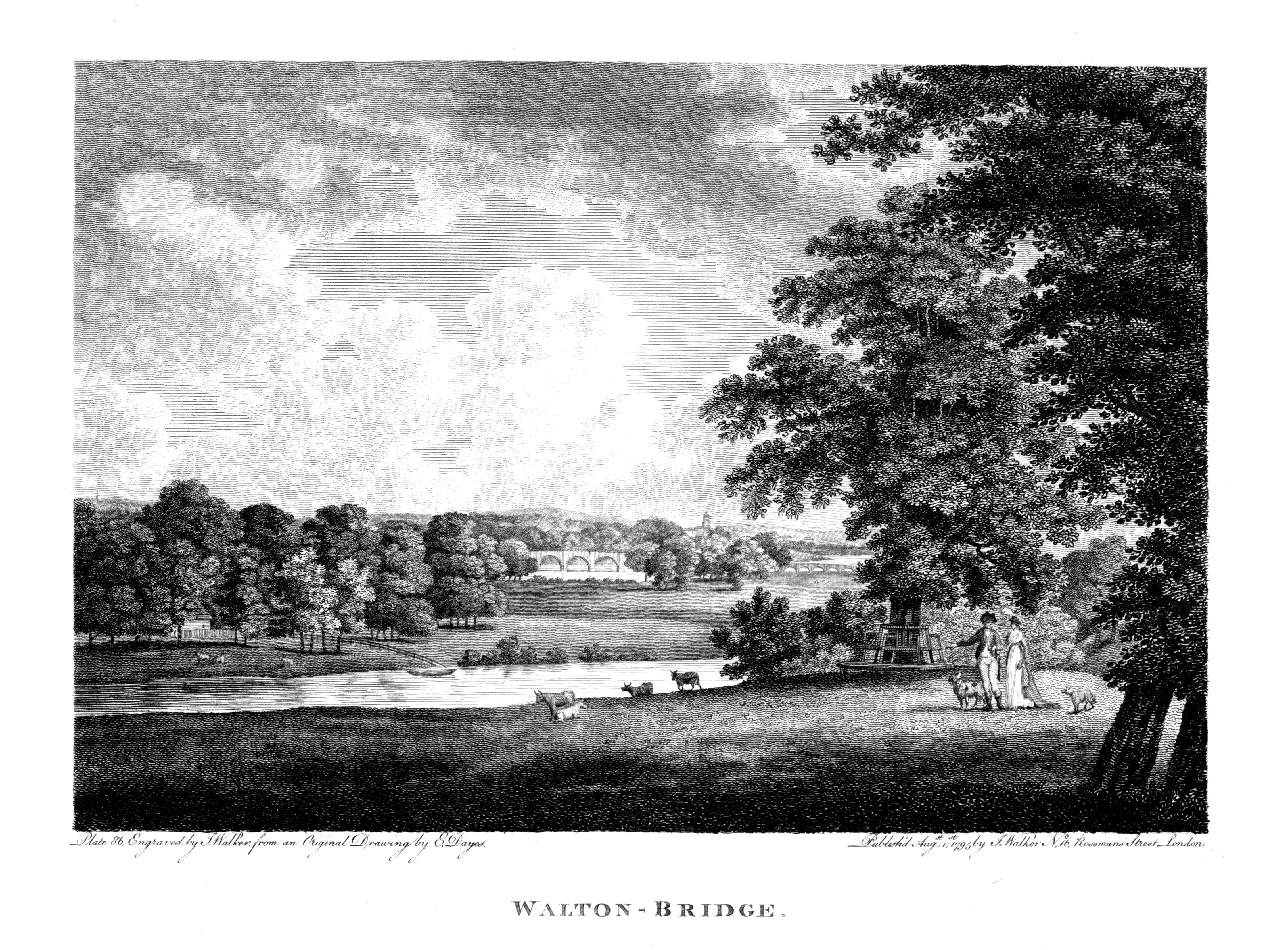 Walton Bridge,prints,river view